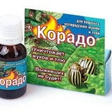 Kako uzgajati corado od koloradske bube